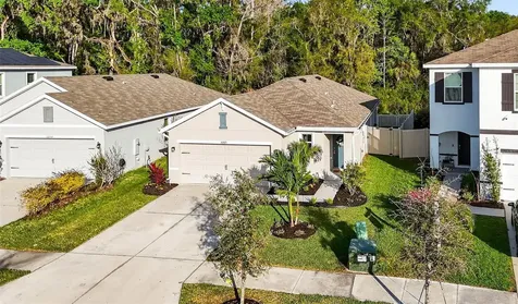 32865 Brooks Hawk Lane Wesley Chapel FL 33543