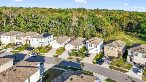 32865 Brooks Hawk Lane Wesley Chapel FL 33543