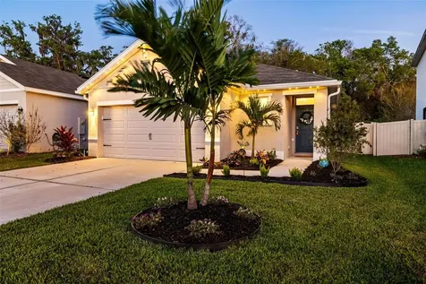 32865 Brooks Hawk Lane Wesley Chapel FL 33543