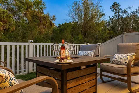 32865 Brooks Hawk Lane Wesley Chapel FL 33543