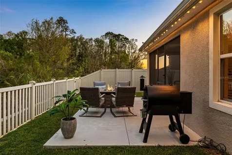 32865 Brooks Hawk Lane Wesley Chapel FL 33543