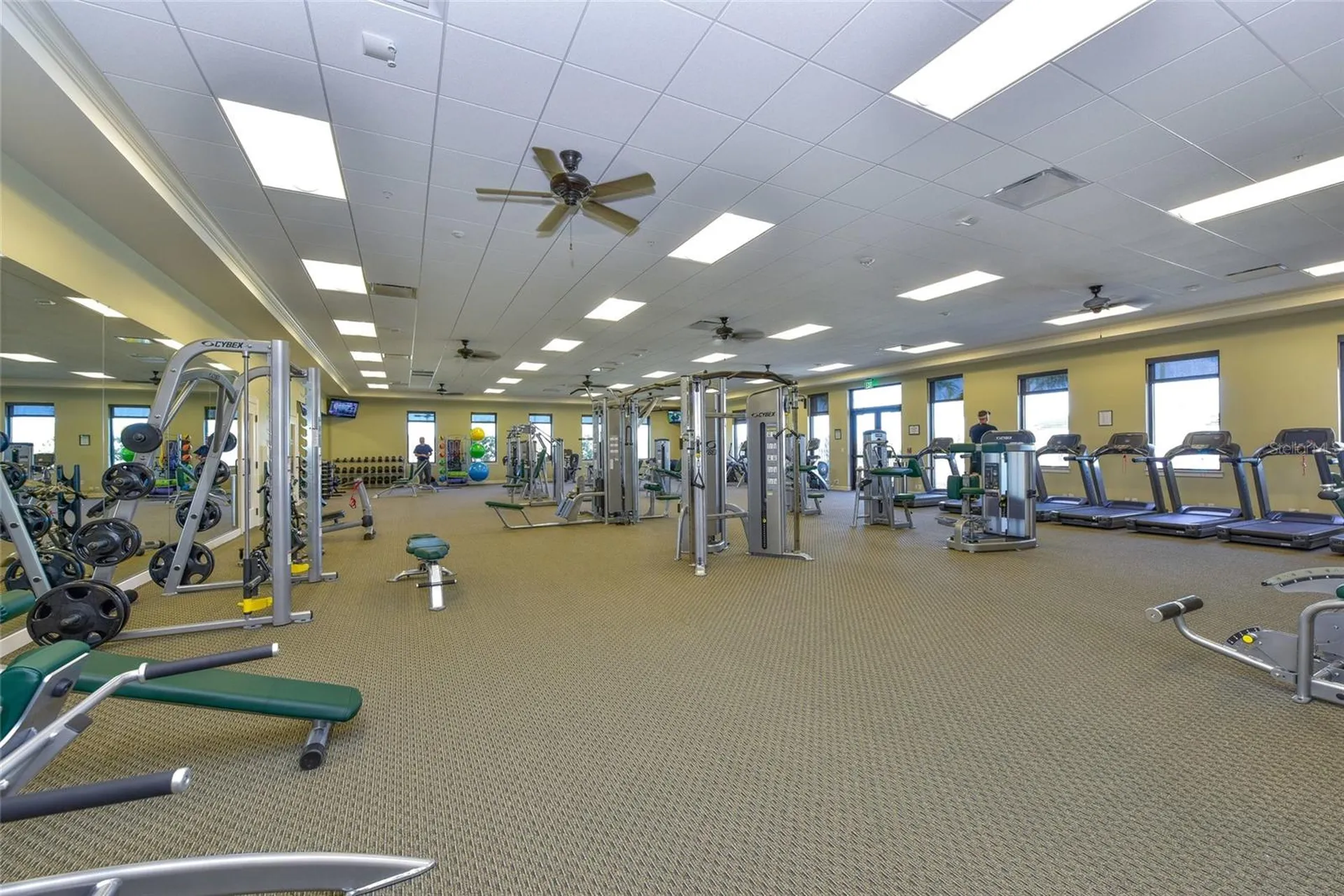 10805 Tarflower Drive Venice FL 34293