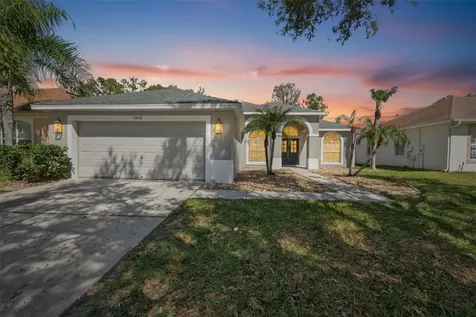 10018 Cannon Drive Riverview FL 33578