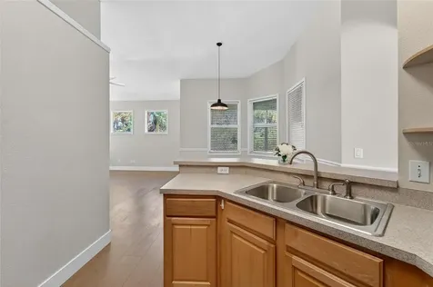 10018 Cannon Drive Riverview FL 33578