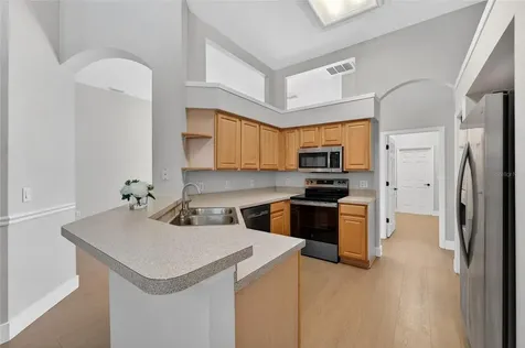 10018 Cannon Drive Riverview FL 33578