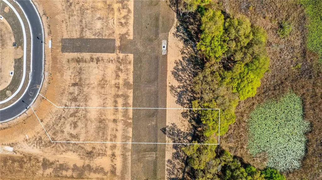 Marigold Belle Circle Clermont FL 34711