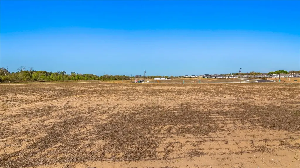Marigold Belle Circle Clermont FL 34711