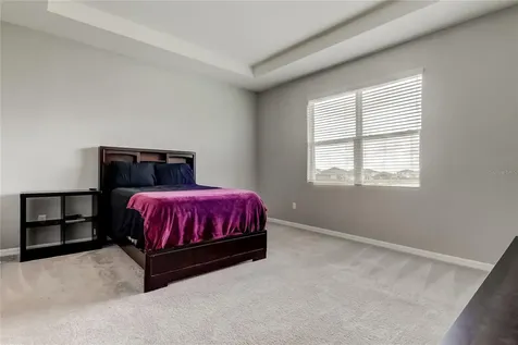 33888 Field Maple Loop Wesley Chapel FL 33545