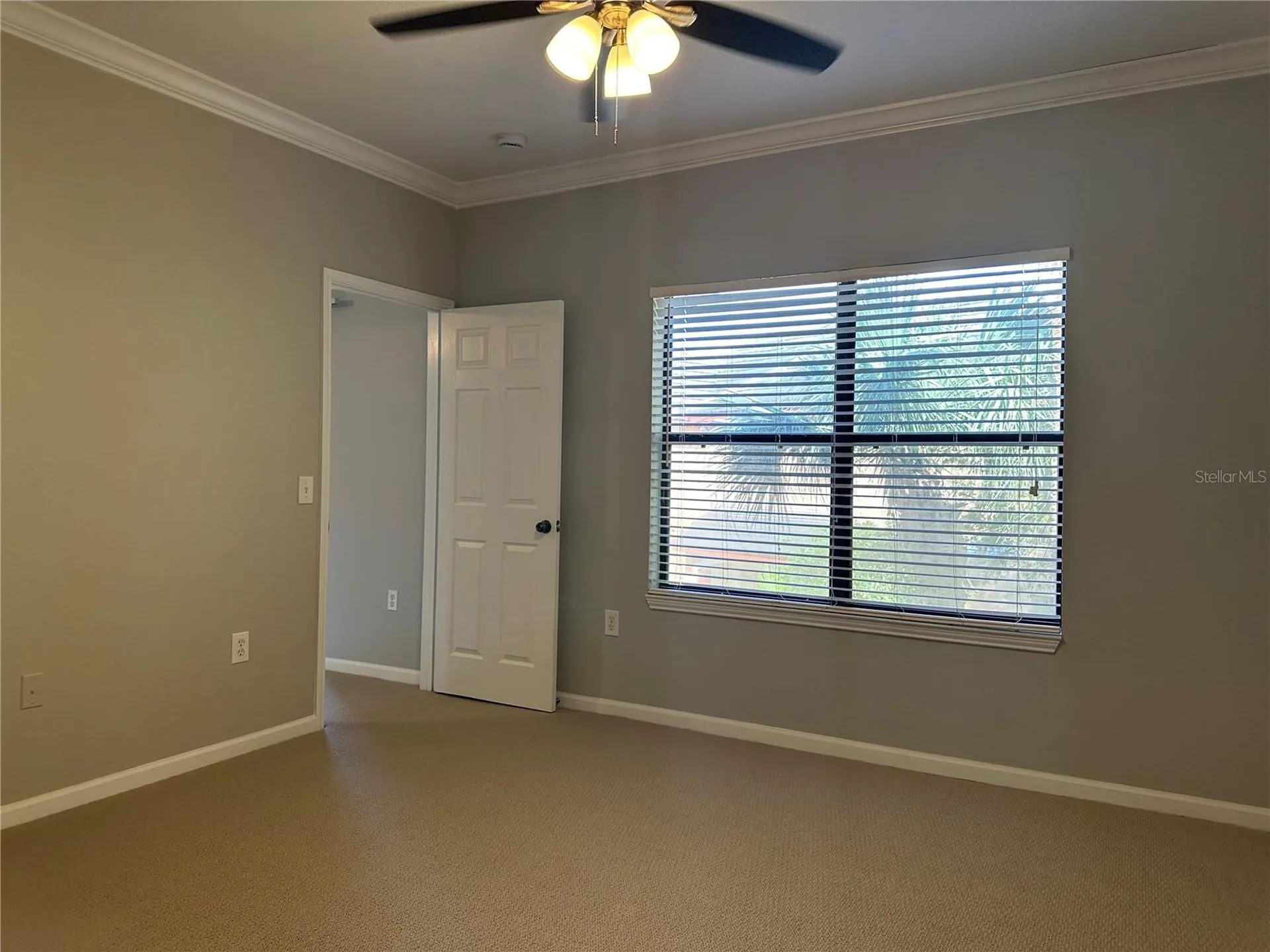 2151 Chianti Place Palm Harbor FL 34683