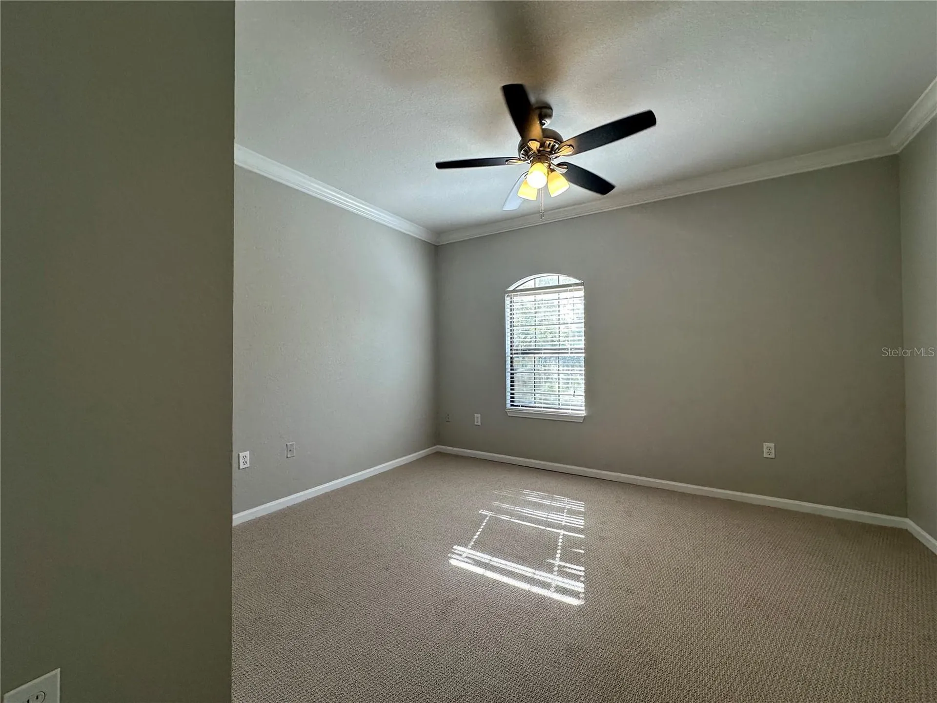 2151 Chianti Place Palm Harbor FL 34683