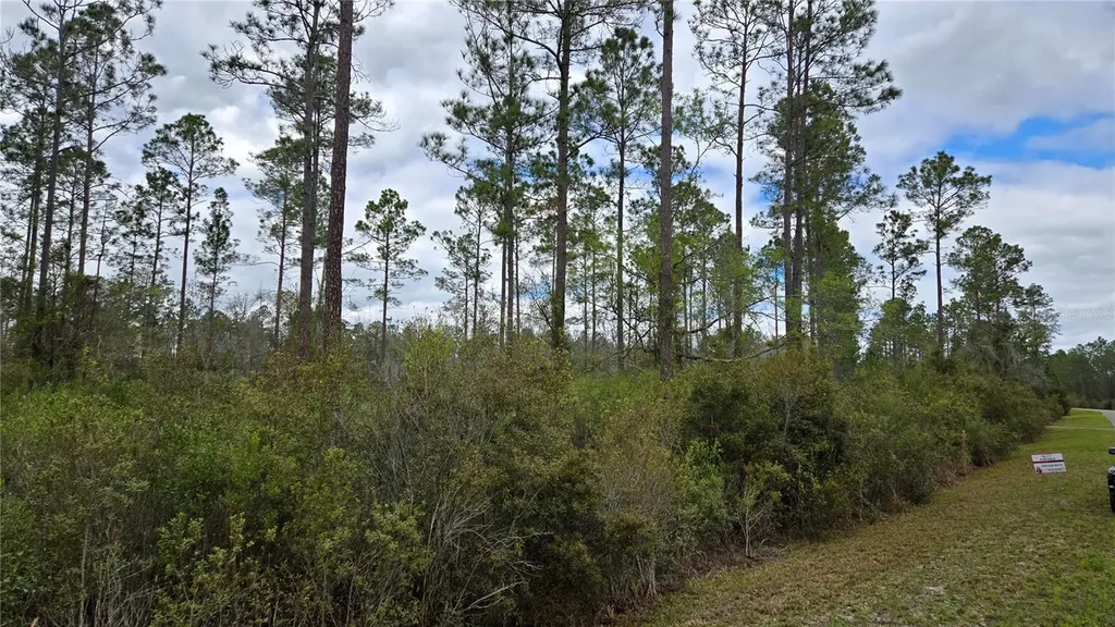Lot 10 NW Natalie Way Lake City FL 32055