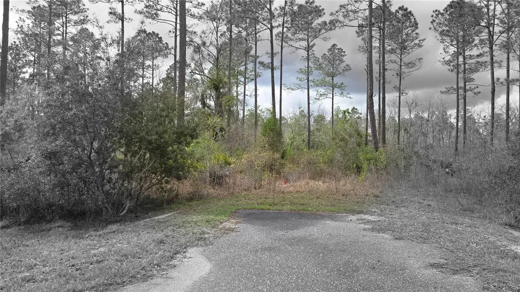 Lot 10 NW Natalie Way Lake City FL 32055
