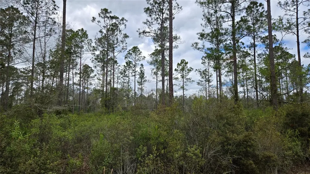 Lot 10 NW Natalie Way Lake City FL 32055