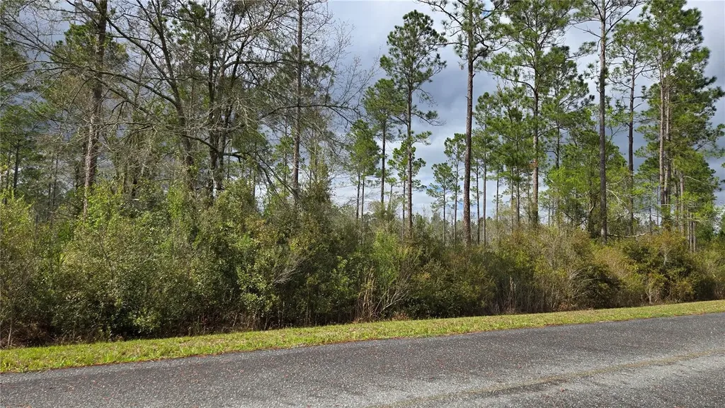 Lot 10 NW Natalie Way Lake City FL 32055