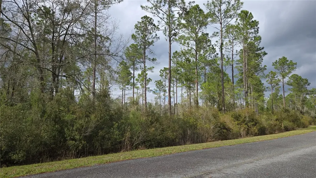 Lot 10 NW Natalie Way Lake City FL 32055