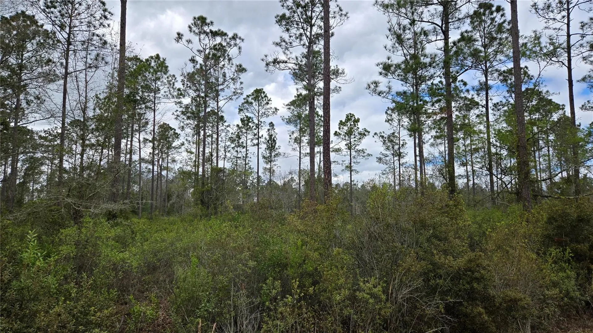 Lot 10 NW Natalie Way Lake City FL 32055