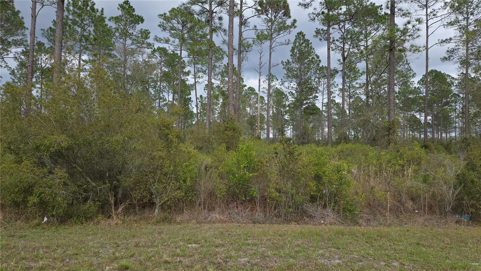 Lot 10 NW Natalie Way Lake City FL 32055