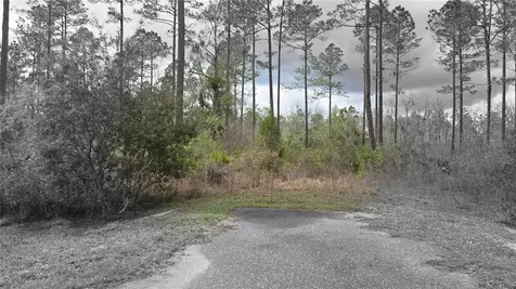 Lot 10 NW Natalie Way Lake City FL 32055