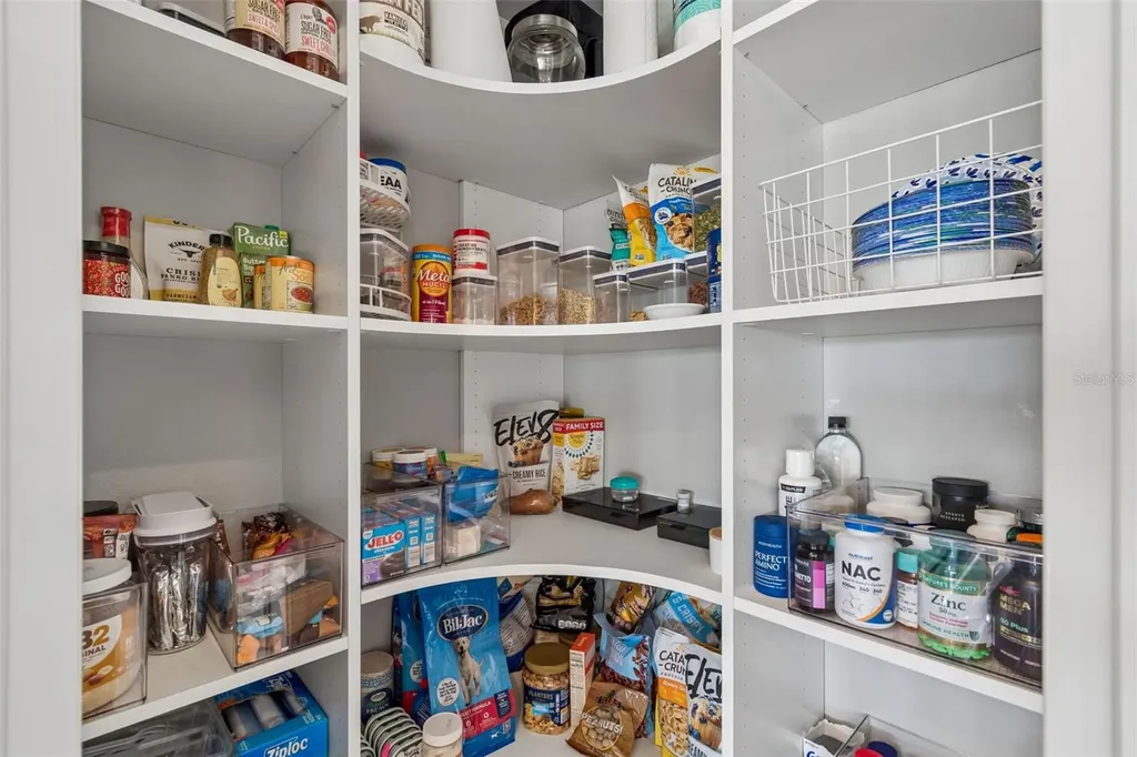 3462 Forsythia Drive Odessa FL 33556