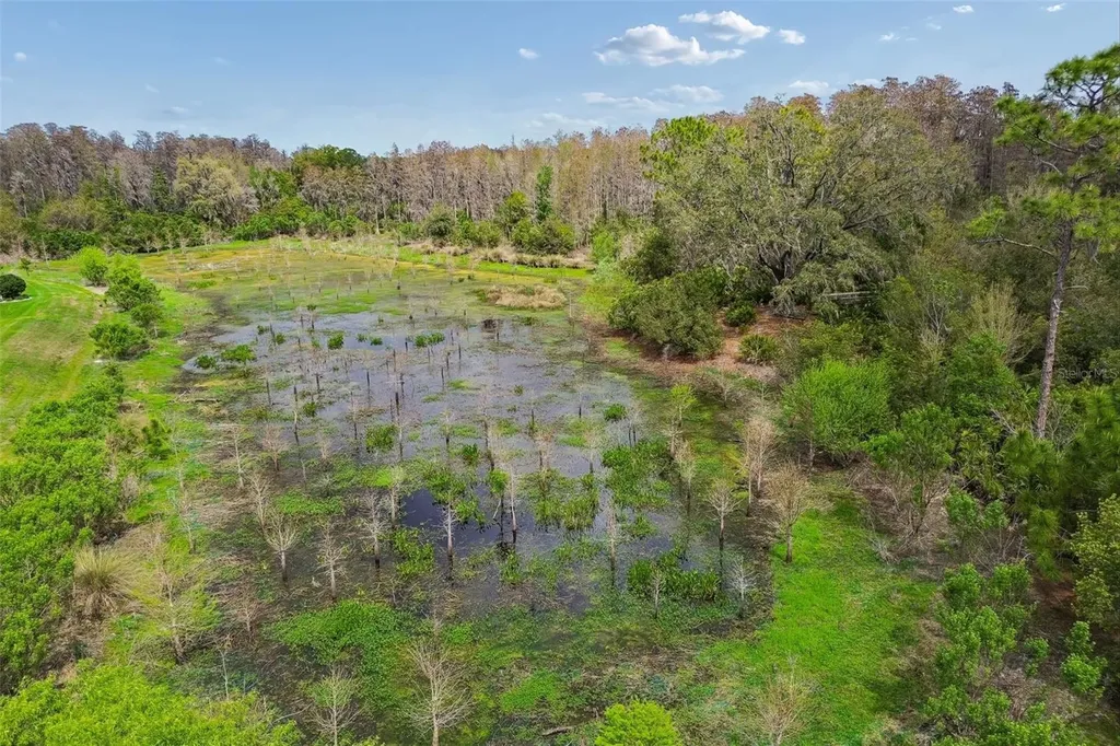 3462 Forsythia Drive Odessa FL 33556