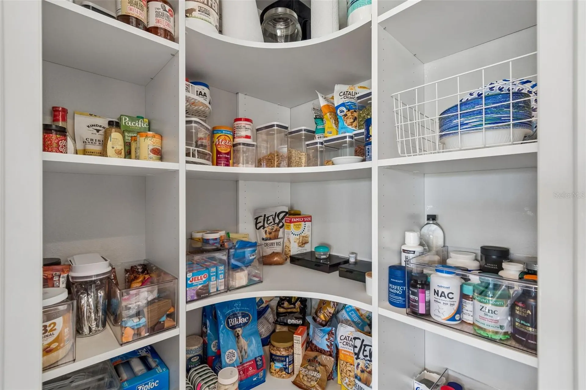 3462 Forsythia Drive Odessa FL 33556