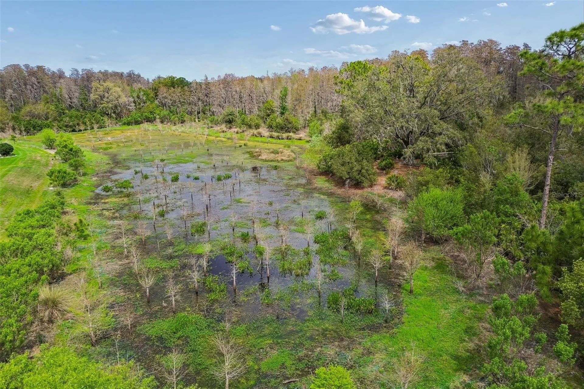 3462 Forsythia Drive Odessa FL 33556