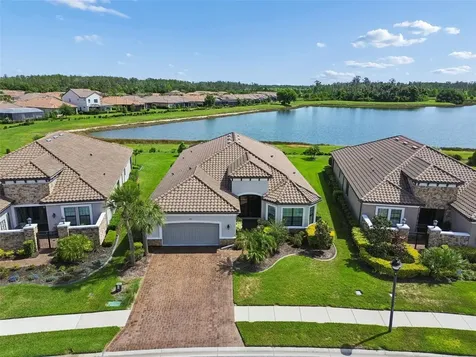 3462 Forsythia Drive Odessa FL 33556