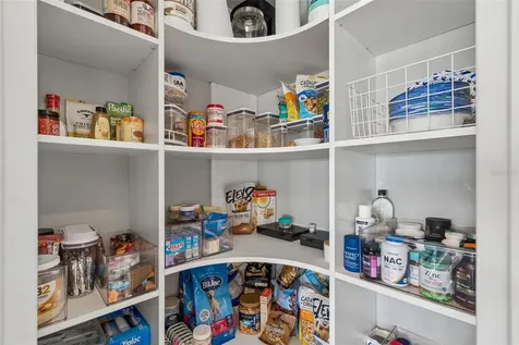 3462 Forsythia Drive Odessa FL 33556
