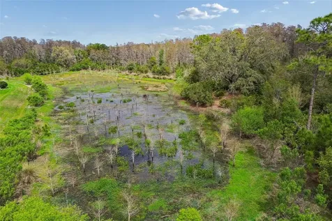 3462 Forsythia Drive Odessa FL 33556
