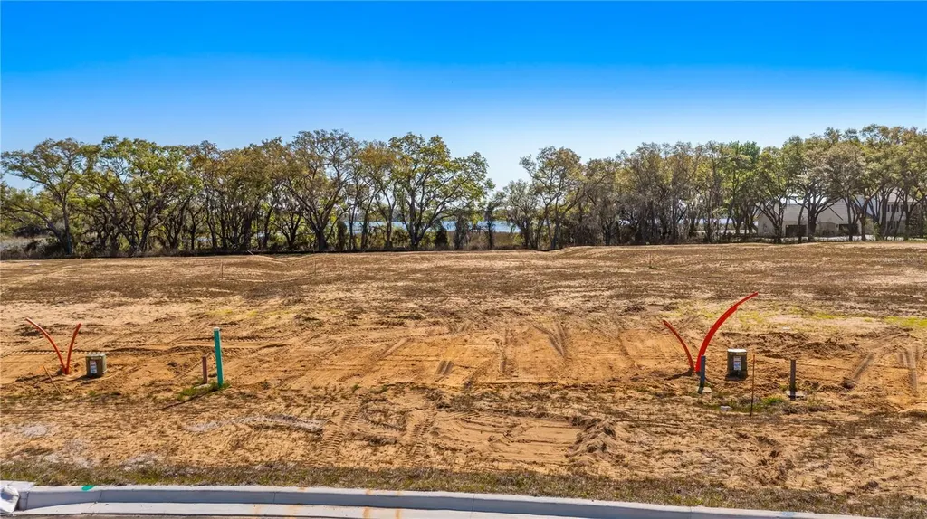 Marigold Belle Circle Clermont FL 34711