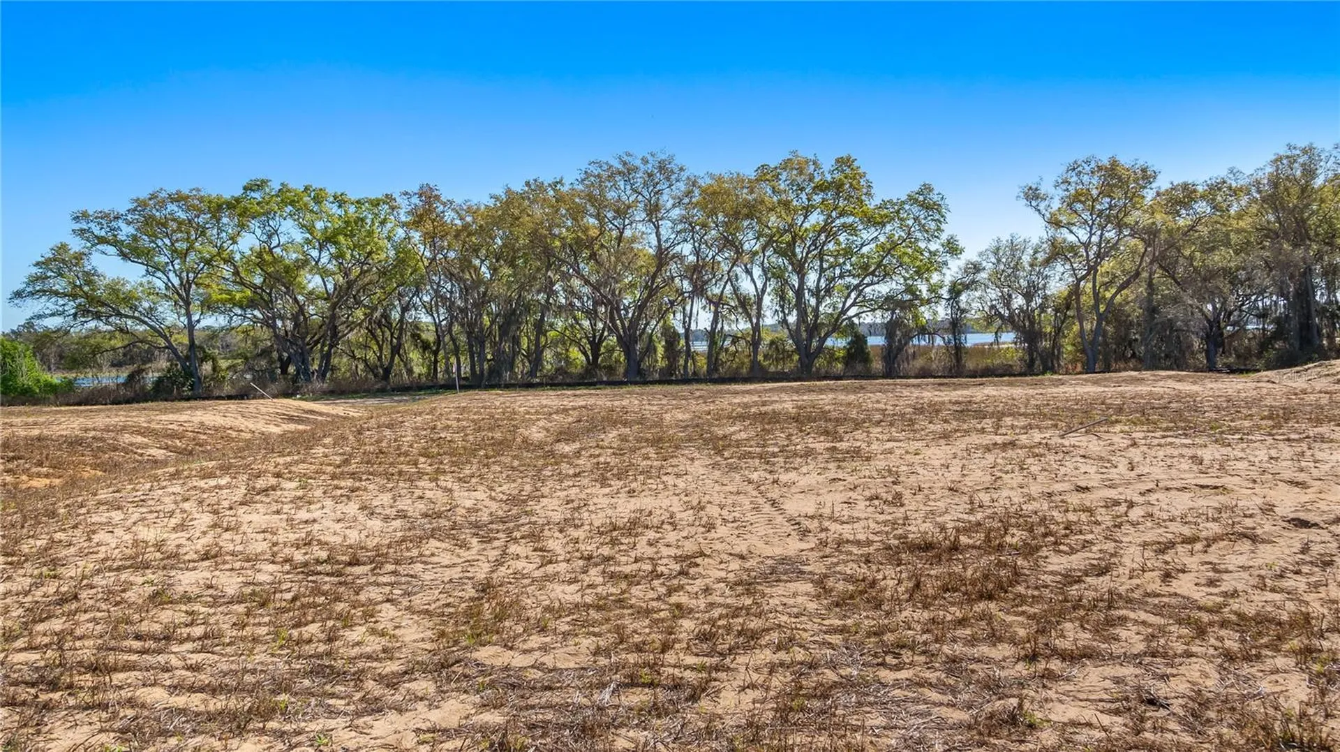 Marigold Belle Circle Clermont FL 34711