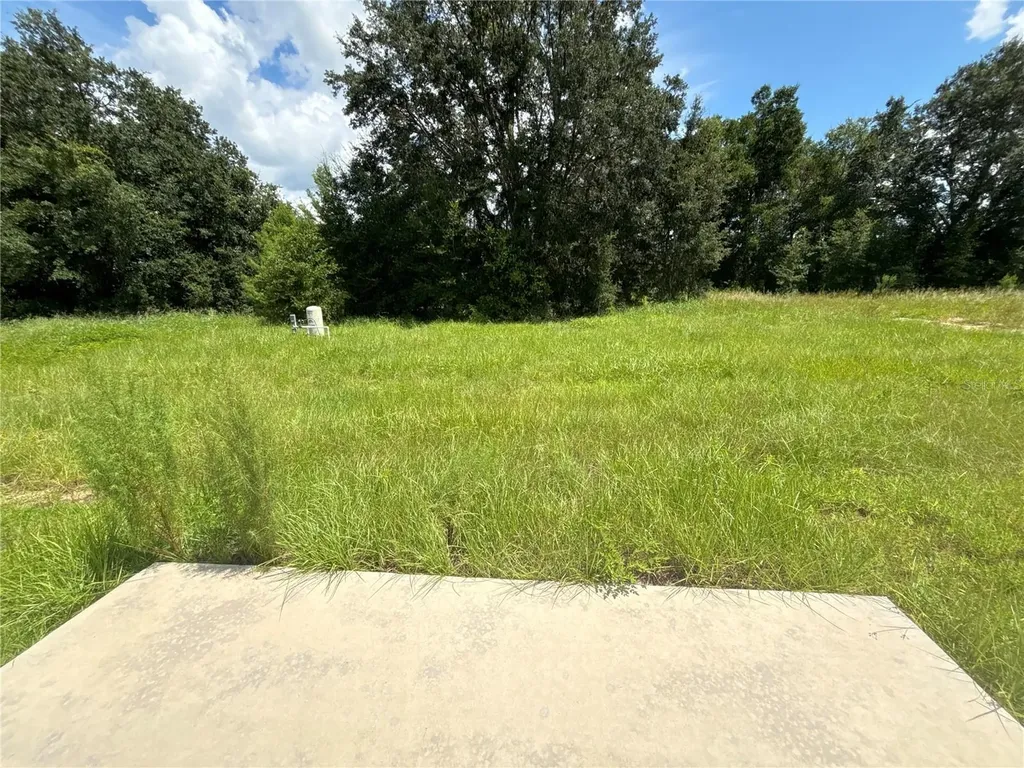 9 Malauka Loop Lane Ocklawaha FL 32179
