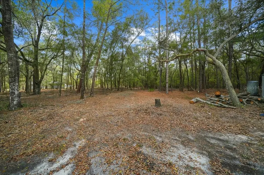 7550 SW 185th Circle Dunnellon FL 34432