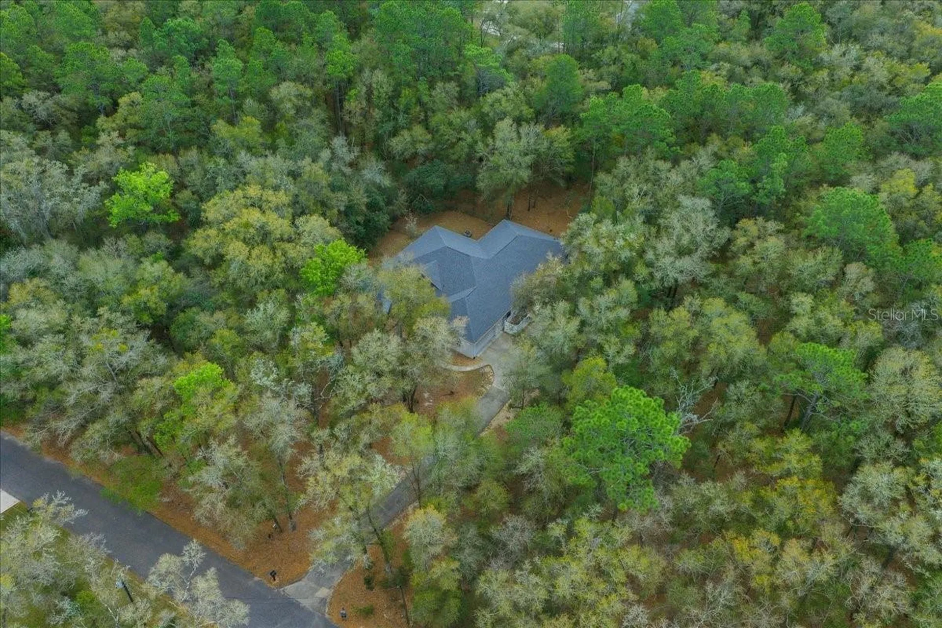 7550 SW 185th Circle Dunnellon FL 34432