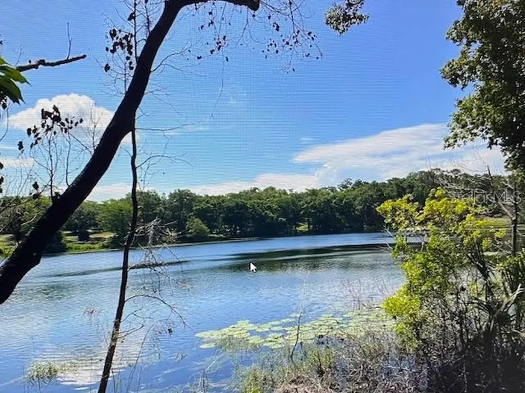 2&3 Spring Lake Road Fruitland Park FL 34731