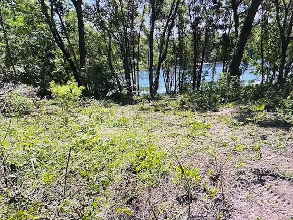 2&3 Spring Lake Road Fruitland Park FL 34731