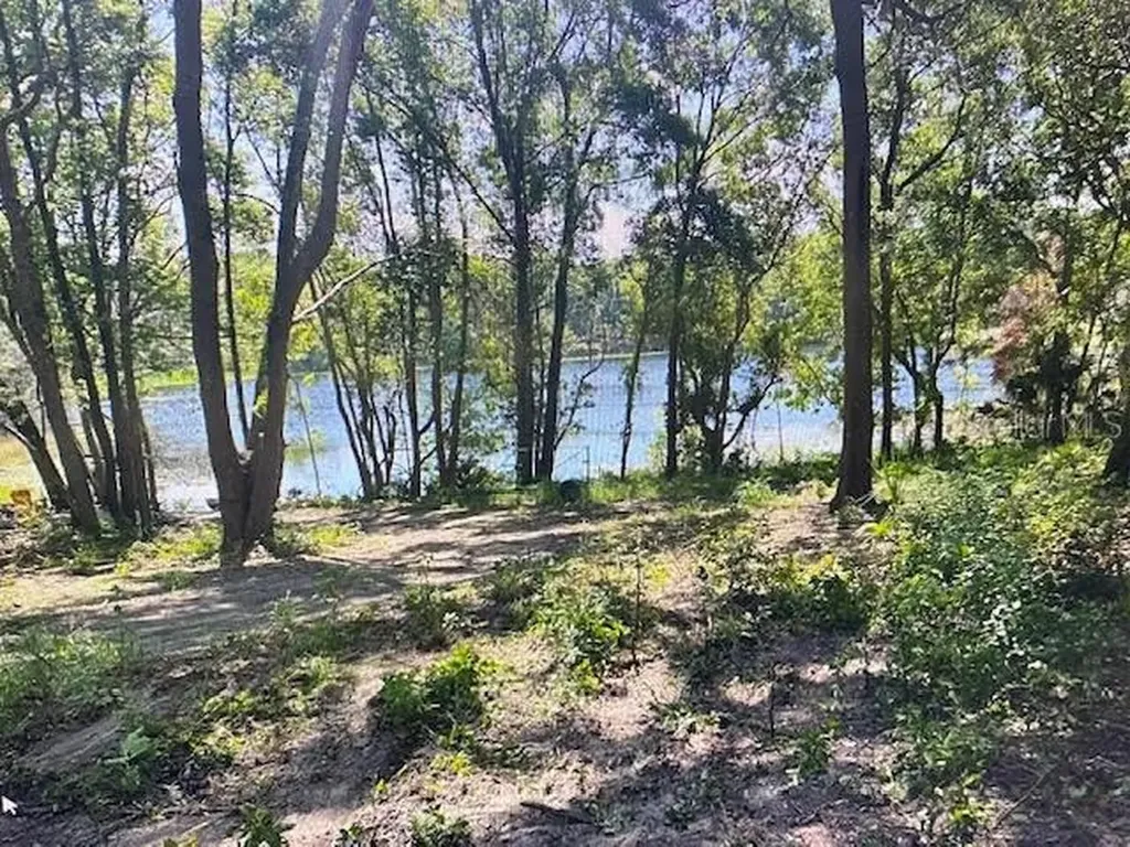 2&3 Spring Lake Road Fruitland Park FL 34731