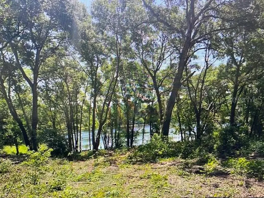 2&3 Spring Lake Road Fruitland Park FL 34731
