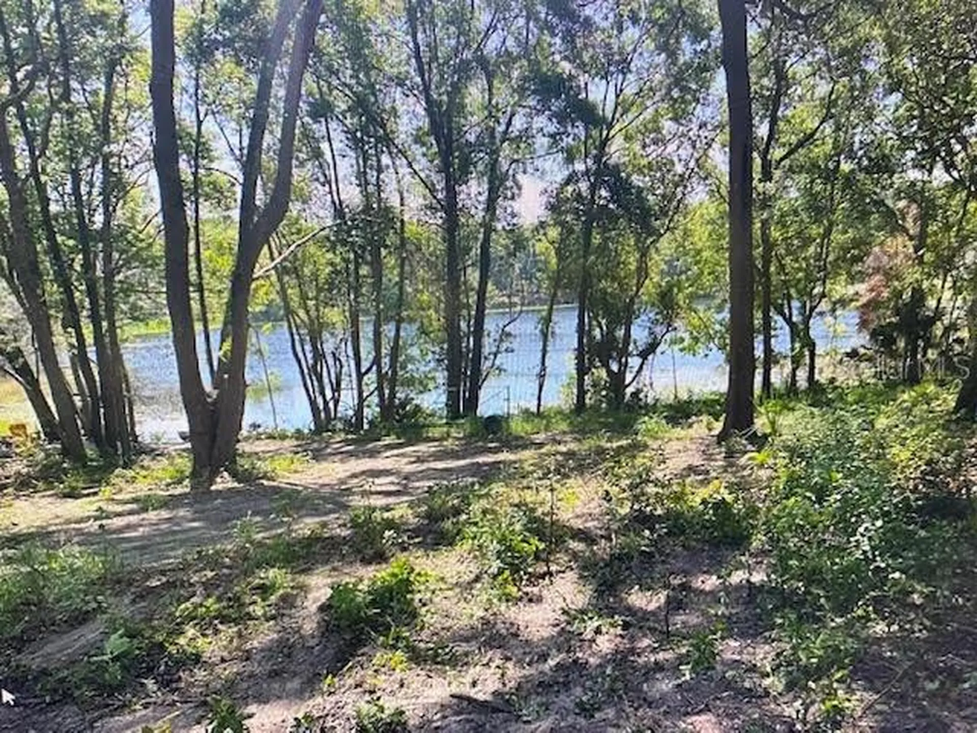 2&3 Spring Lake Road Fruitland Park FL 34731