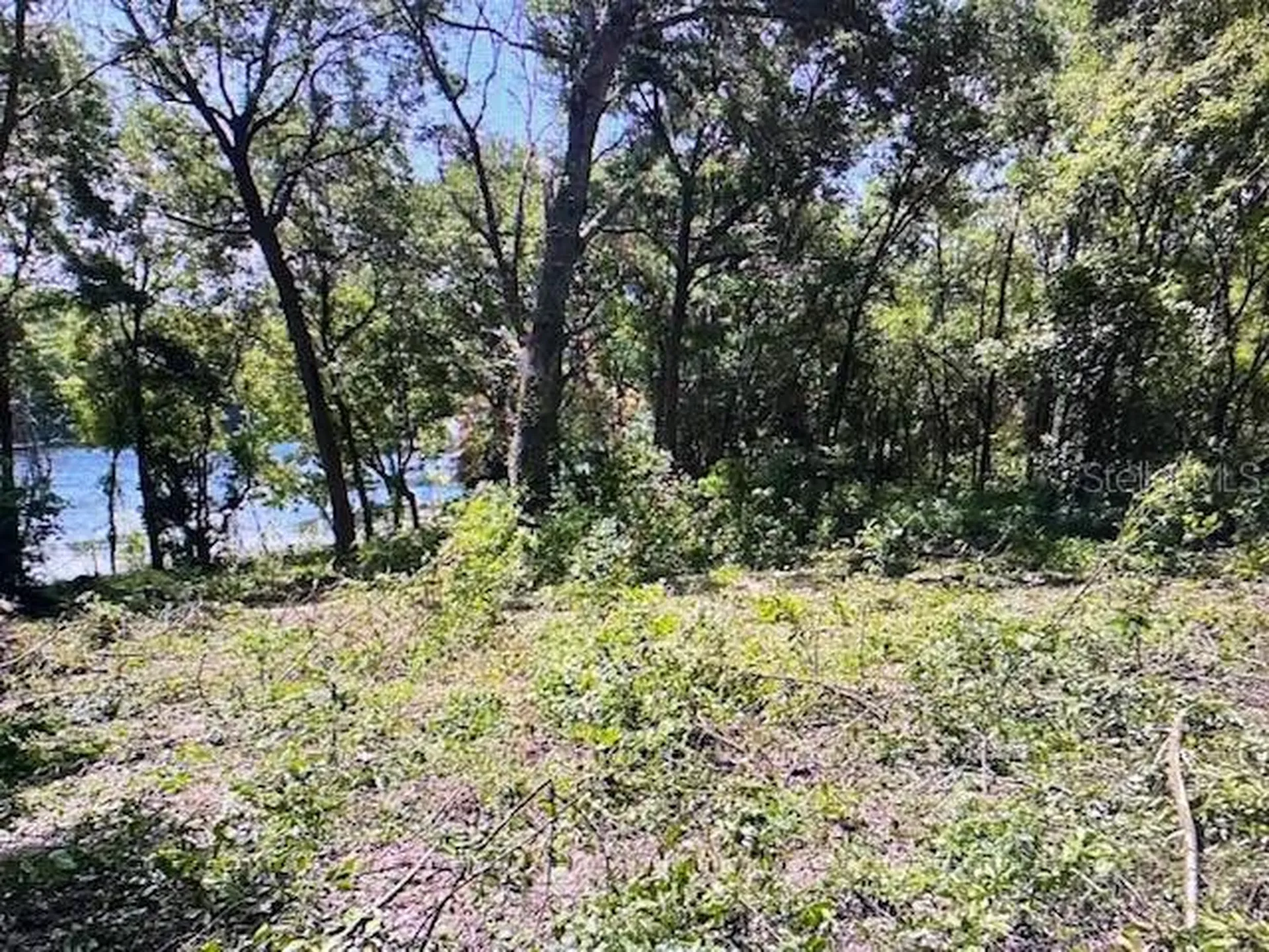 2&3 Spring Lake Road Fruitland Park FL 34731