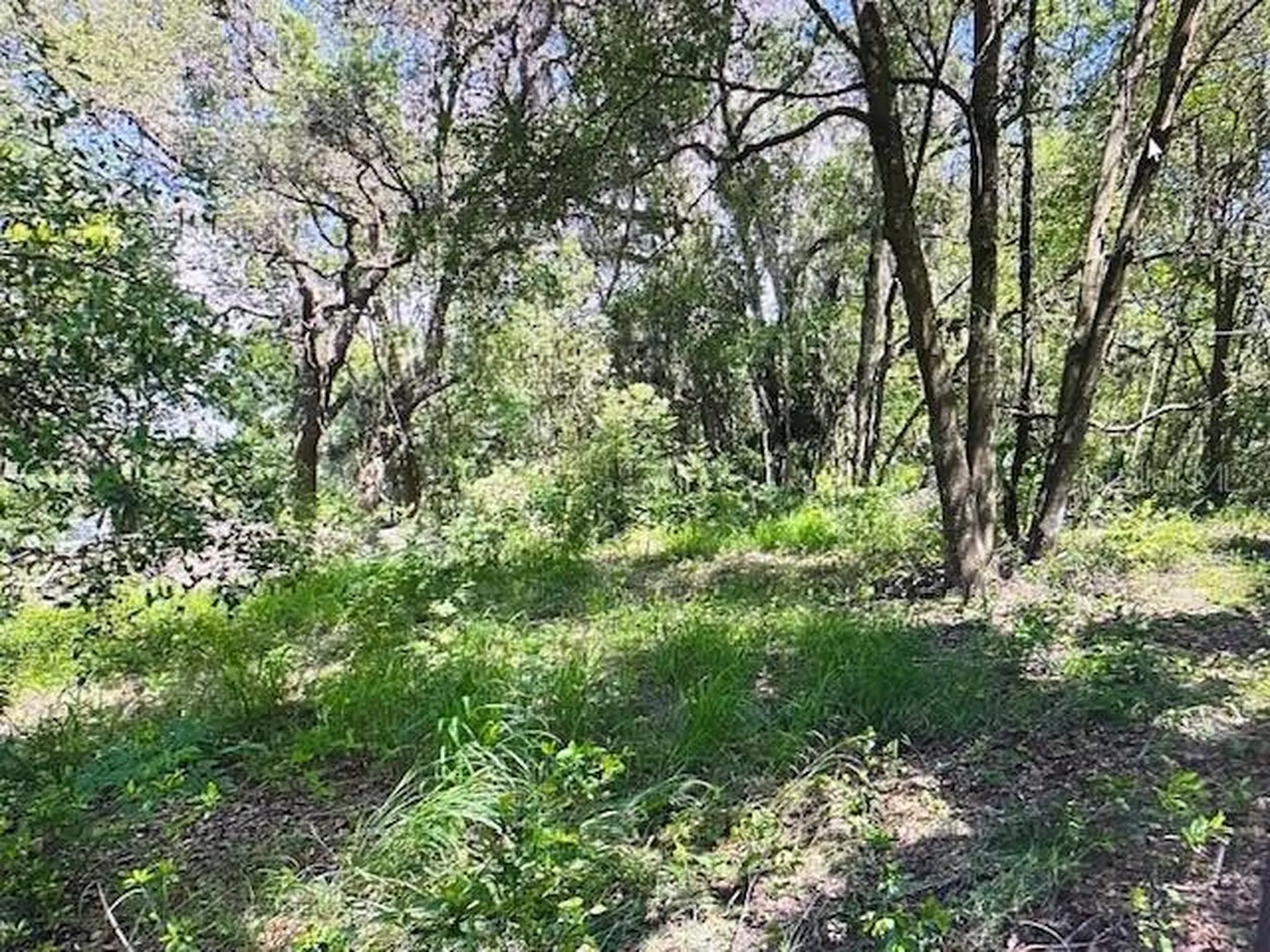 2&3 Spring Lake Road Fruitland Park FL 34731