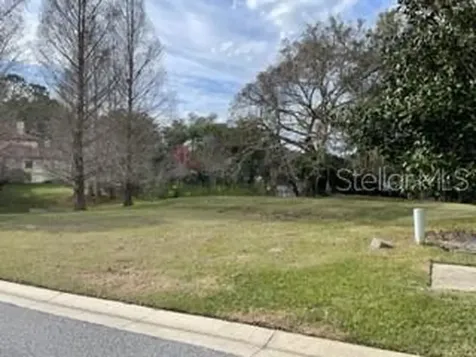 413 W Blue Water Edge Drive Eustis FL 32736