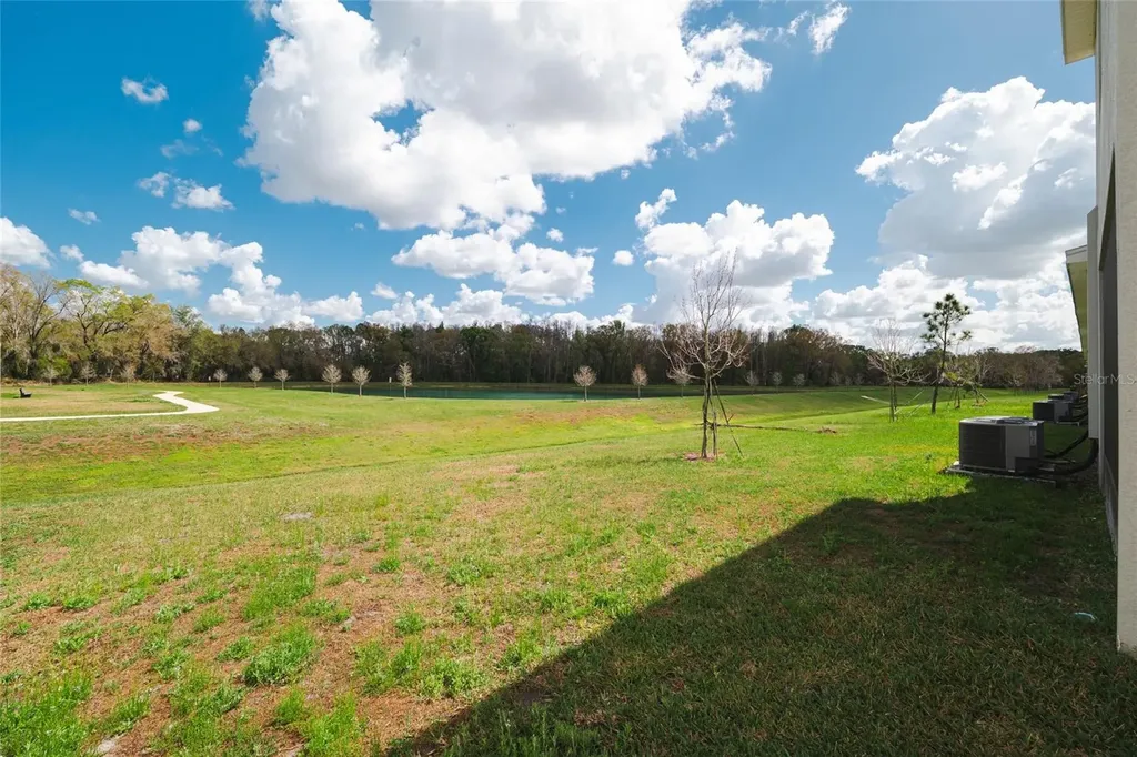 1287 Colt Creek Place Wesley Chapel FL 33543