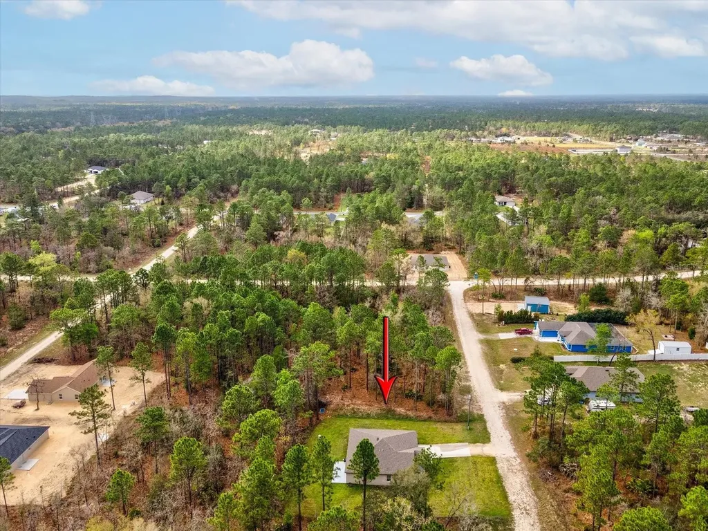 16334 Frost Bird Road Weeki Wachee FL 34614
