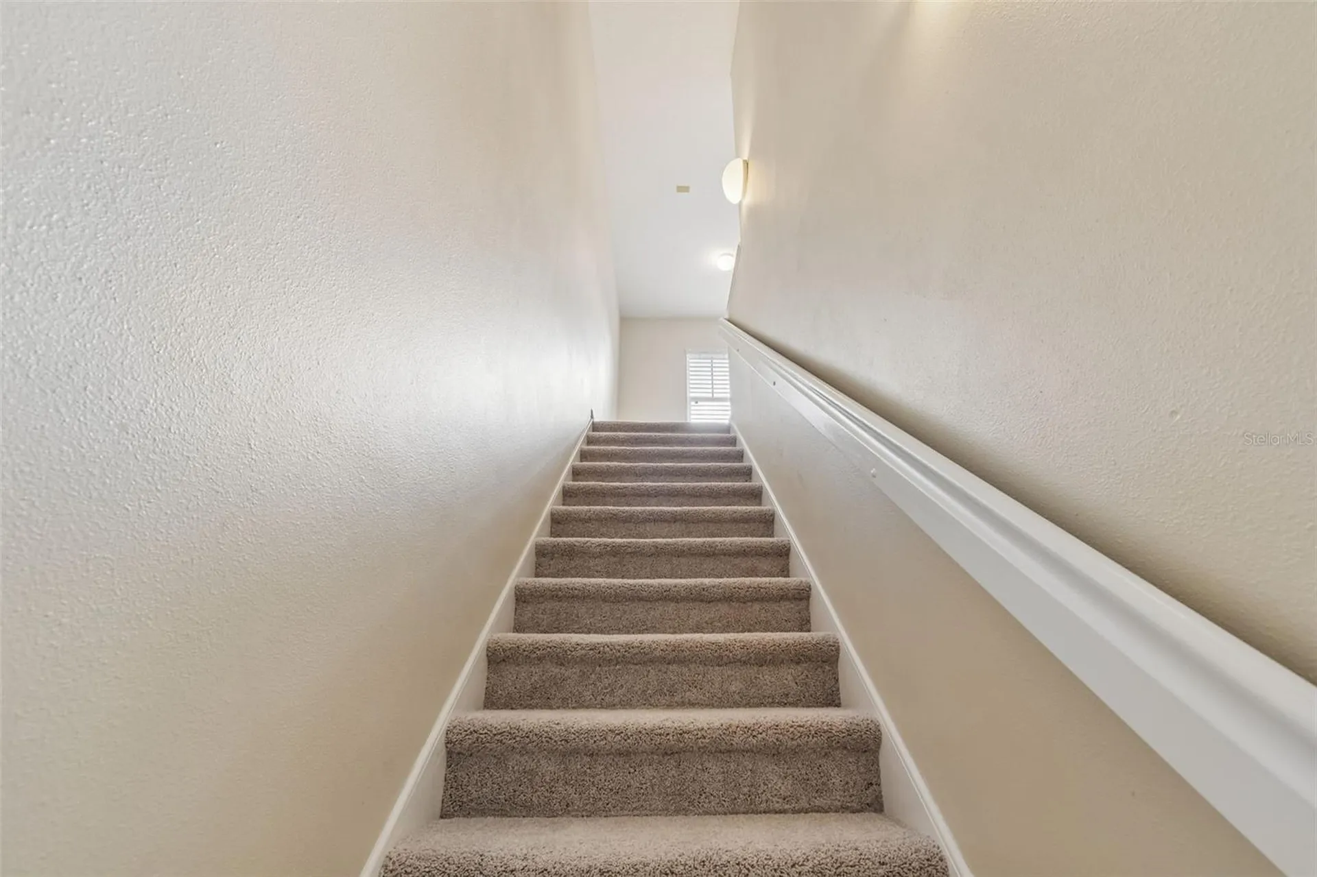 20112 Indian Rosewood Drive Tampa FL 33647