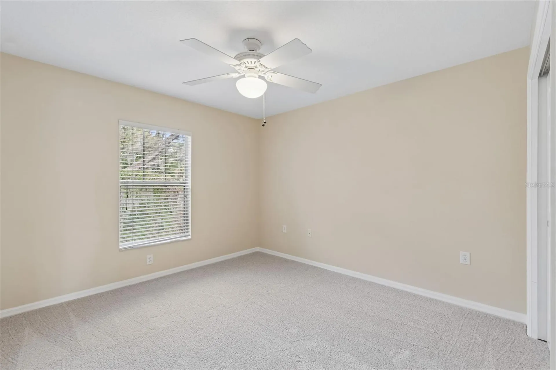 20112 Indian Rosewood Drive Tampa FL 33647