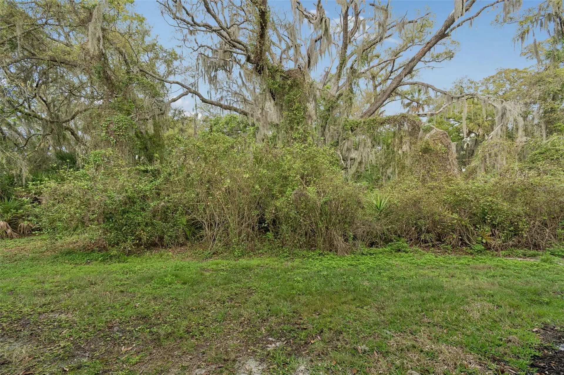 20112 Indian Rosewood Drive Tampa FL 33647
