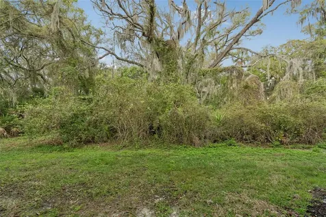 20112 Indian Rosewood Drive Tampa FL 33647