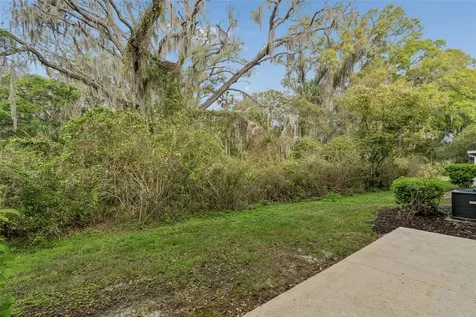 20112 Indian Rosewood Drive Tampa FL 33647