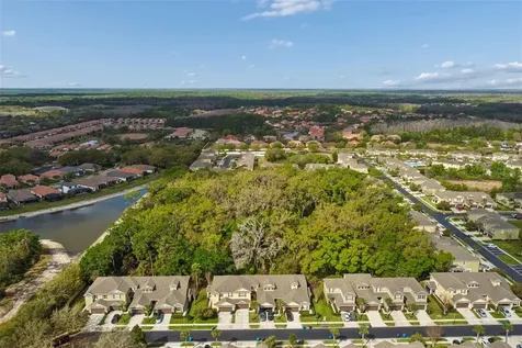 20112 Indian Rosewood Drive Tampa FL 33647